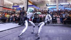 人工智能取数字安是全球性的